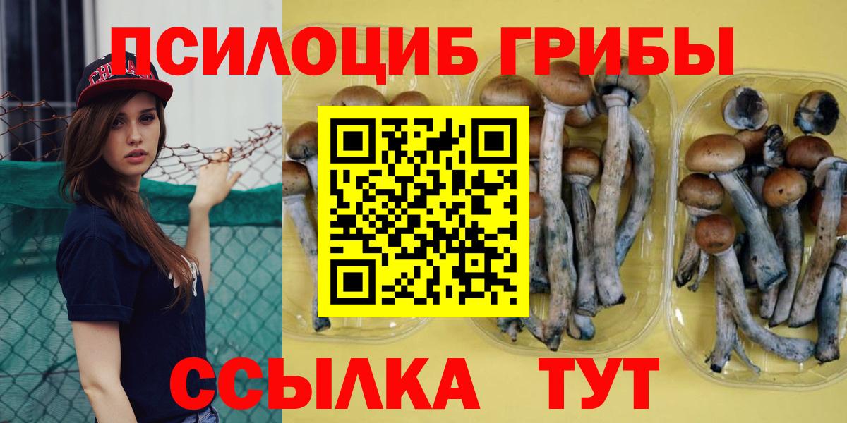 Новоалександровск  Псилоцибиновые грибы Psilocybe  купить закладку  Галлюциногенные грибы MAGIC MUSHROOMS  Вход с VPN 